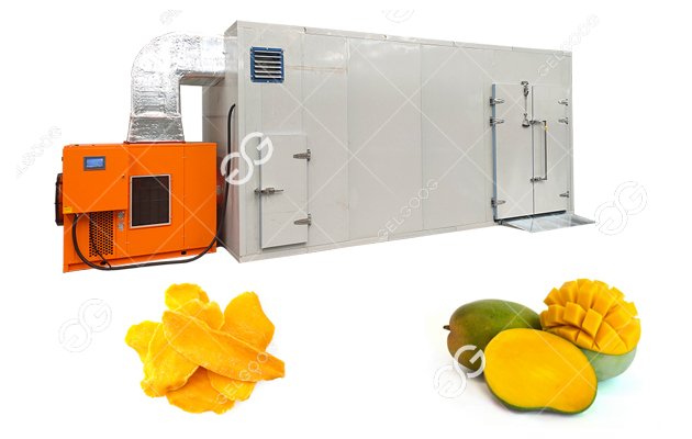 dried mango chips pocessing machine