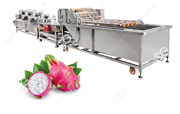 pitaya fruit washing machine line