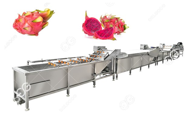dragon fruit cleaning line